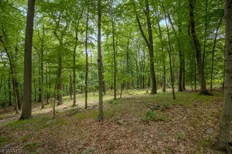28 Post Kennel Rd # -1, Bernardsville Boro, NJ 07931