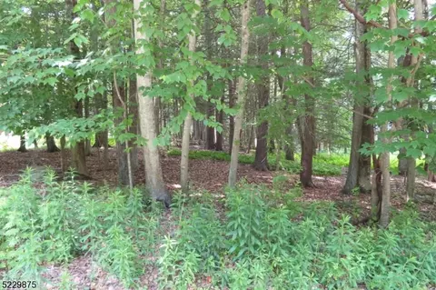 426 Deer Fld, Montague Twp, NJ 07827