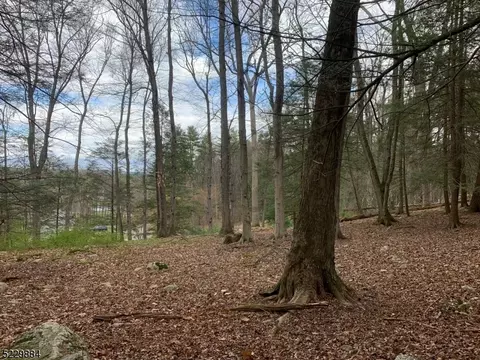 135 Hemlock, Montague Twp, NJ 07827