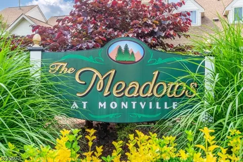 11 Madison Ct, Montville, NJ 07045