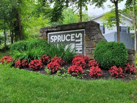 816 Spruce Hills Dr #816, Glen Gardner, NJ 08826