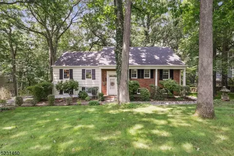 55 Nicholson Dr, Chatham Twp, NJ 07928