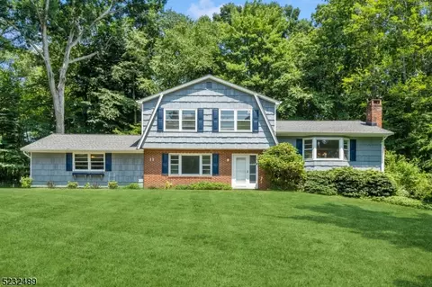 11 Cathy Pl, Roxbury Twp, NJ 07876