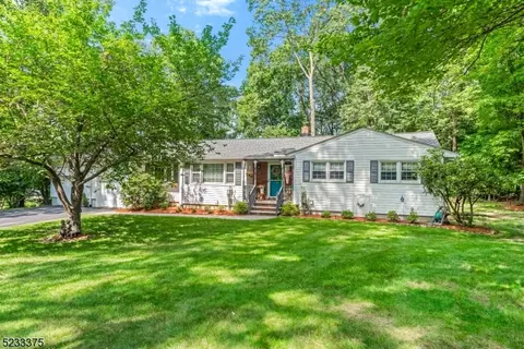 1 Deer Ln, Roxbury Twp, NJ 07876