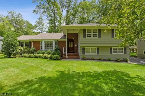 6 Clive Hills Rd, Millburn Twp, NJ 07078