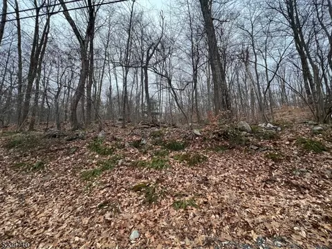 121 Mohican Rd, Blairstown Twp, NJ 07825