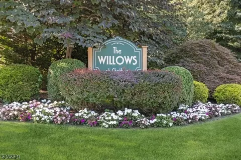 13 Schindler Ct, Chatham, NJ 07928