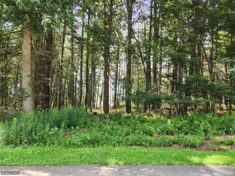 604 Sleepy Holw, Montague Twp, NJ 07827