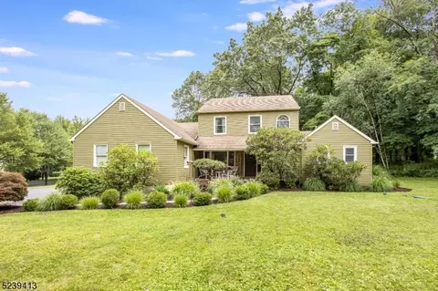 9 Deer Ln, Roxbury Twp, NJ 07876