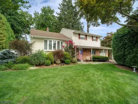 13 Kadel Dr, Roxbury Twp, NJ 07876