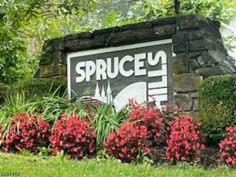 506 Spruce Hills Dr, Glen Gardner, NJ 08826