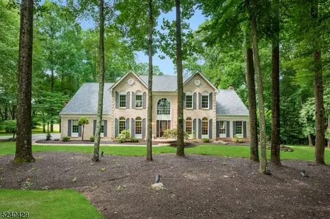 3 Bird Song Ct, Chester, NJ 07930