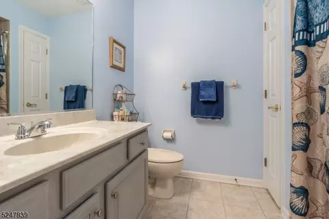 3 Cole Ct, Flemington, NJ 08822 photo 21