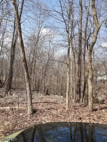 47 Brookwood Dr, Byram Twp, NJ 07874