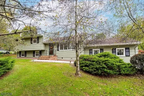 12 Deer Run Dr, Bridgewater, NJ 08807
