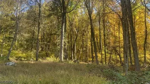 316 Mountain Lake Rd, Liberty Twp, NJ 07838