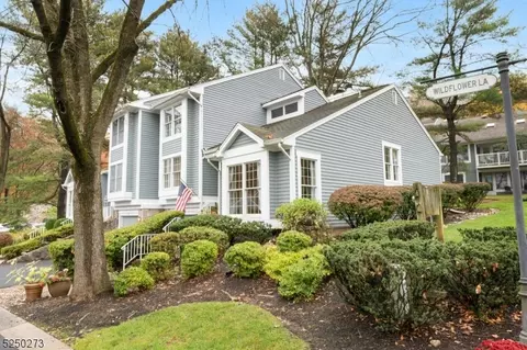 2 Wildflower Ln, Bedminster, NJ 07921