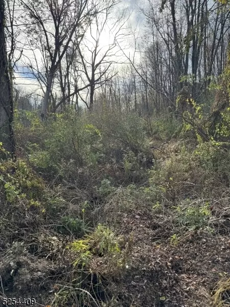 12 Black Creek Rd, Vernon Twp, NJ 07418