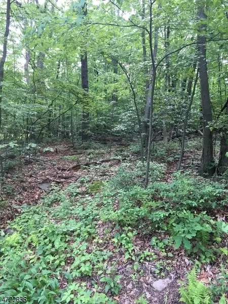 00 Morsetown Rd, West Milford Twp, NJ 07480