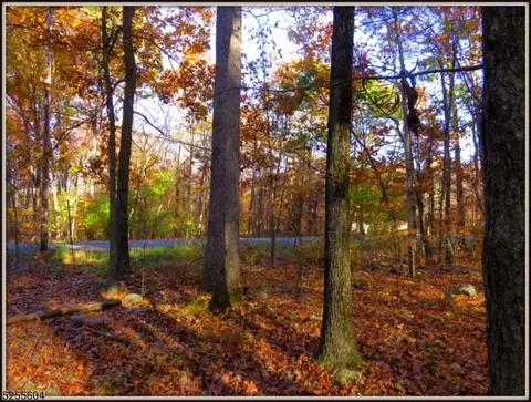 77 Possaghi Rd, Hampton Twp, NJ 07860