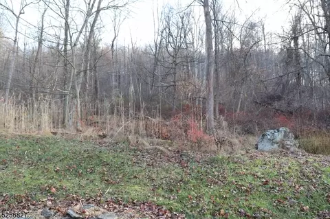 114 Ketcham Rd, Hackettstown, NJ 07840 photo 28