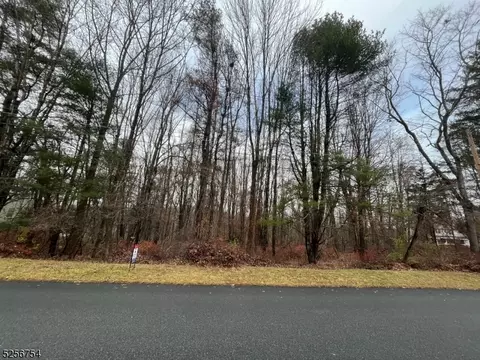 11 Chandoga Dr, Hampton Twp, NJ 07860