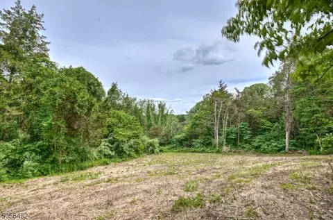 0 Willow Ave, Peapack Gladstone Boro, NJ 07977
