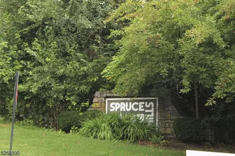 903 Spruce Hills Dr #903, Glen Gardner, NJ 08826