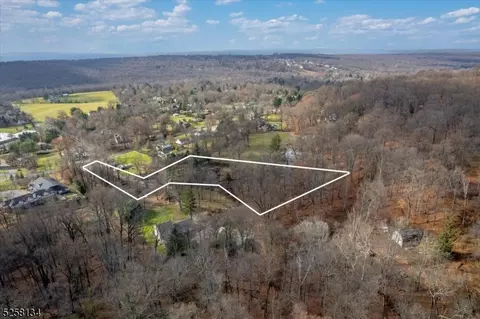 10 Assante Ln, Bridgewater Twp, NJ 08836