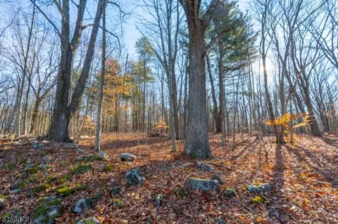 4-12 Meyers Rd, Sandyston Twp, NJ 07826