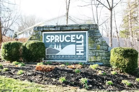 1803 Spruce Hills Dr #1803, Glen Gardner, NJ 08826