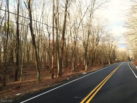 166 New Rd, Montague Twp, NJ 07827