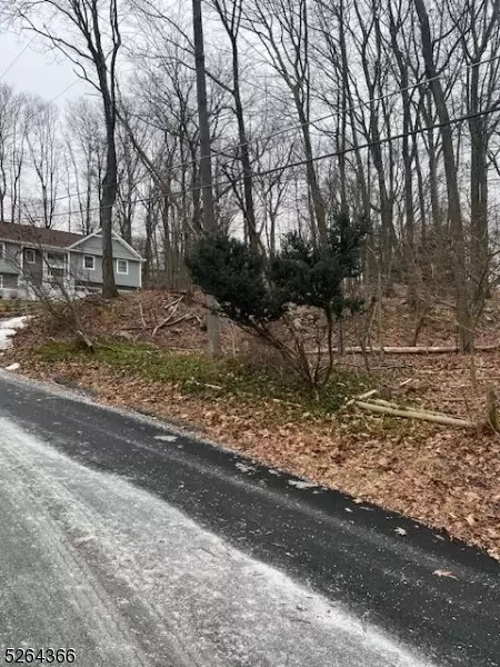 15 Cayuga Ave, Roxbury Twp, NJ 07850