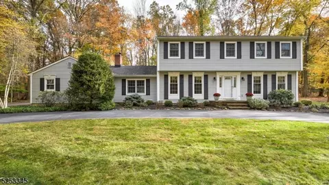 1166 Staffler Rd, Bridgewater, NJ 08807