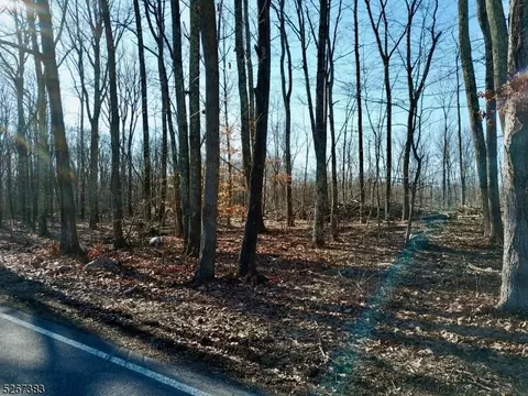 00 Ridge Rd, Frankford Twp, NJ 07826