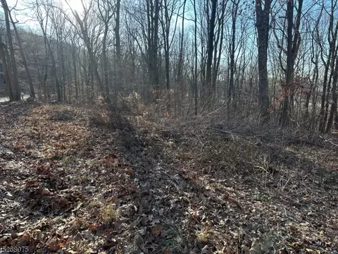 220 Kings Hwy, Roxbury Twp, NJ 07850