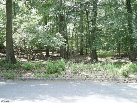 177 Deer Run, Green Brook Twp, NJ 07069