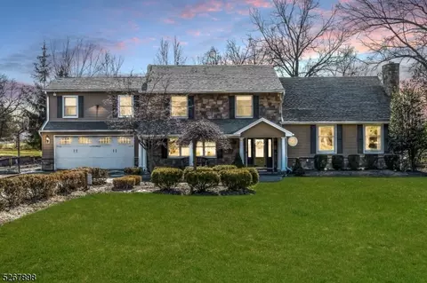 20 Stella Dr, Bridgewater, NJ 08807