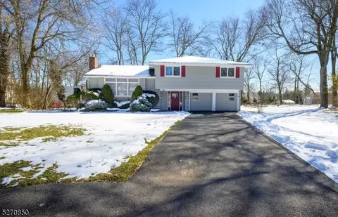 11 Bristol Ct, Livingston, NJ 07039