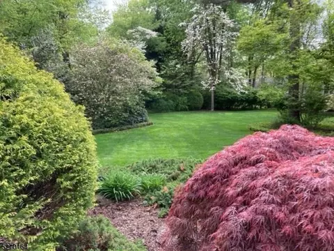 35 Rotary Dr, Summit, NJ 07901 photo 31