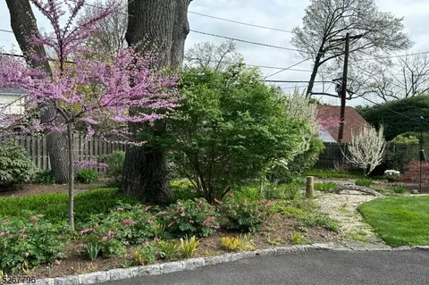 95 Haddon Pl, Montclair, NJ 07043 photo 38