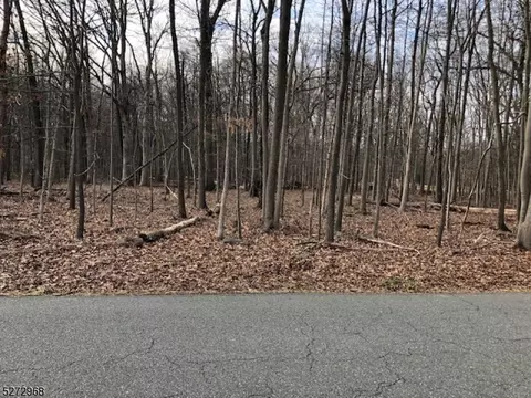 61 Featherbed Ln, Raritan Twp, NJ 08822