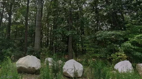 0 Chamberlain Ave, Mount Olive Twp, NJ 07828