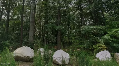 00 Chamberlain Ave, Mount Olive Twp, NJ 07828
