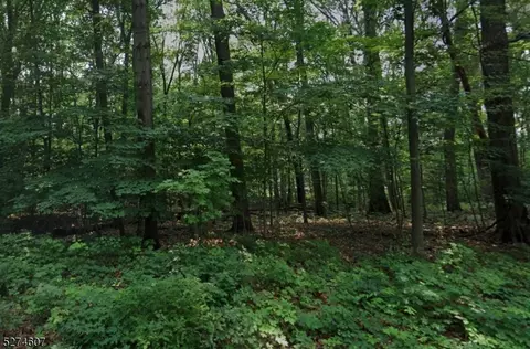 000 Chamberlain Ave, Mount Olive Twp, NJ 07828