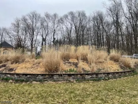 9 Jodilee Ln, Randolph Twp, NJ 07869
