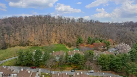 View/Area - 7 Dorset Ln, Bedminster, NJ 07921 photo 3 of 6