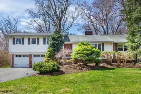 62 Shongum Rd, Randolph, NJ 07869