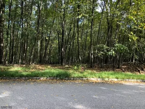 0 Donna Ln, Mount Olive Twp, NJ 07836
