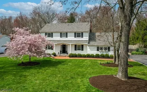 12 Park View Rd, Chatham Twp, NJ 07928